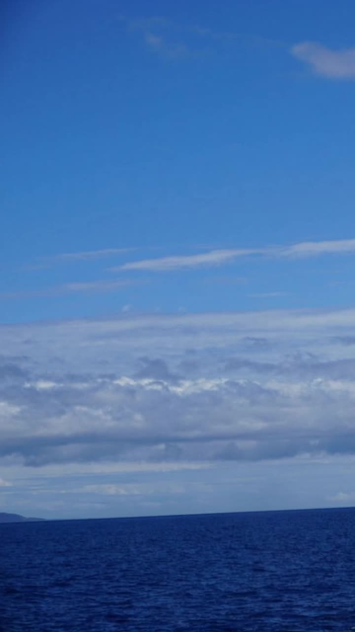 Whale breaching and slapping its tail on the water