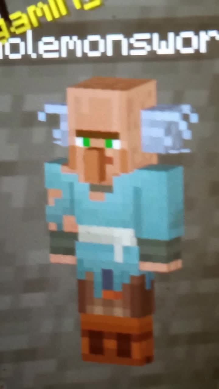 Minecraft Villager character, Wholemonsworth, full 3D animation 