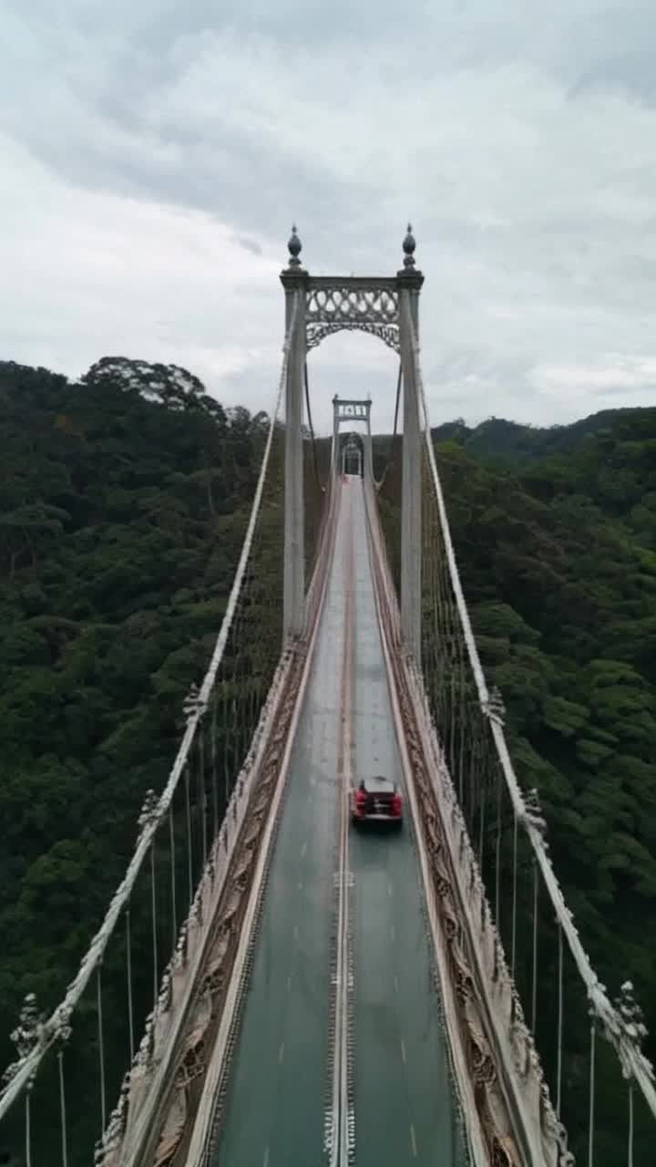 driving on a surreal intricately detailed ornately decorated suspension bridge that leads into a microscopic tropical paradise