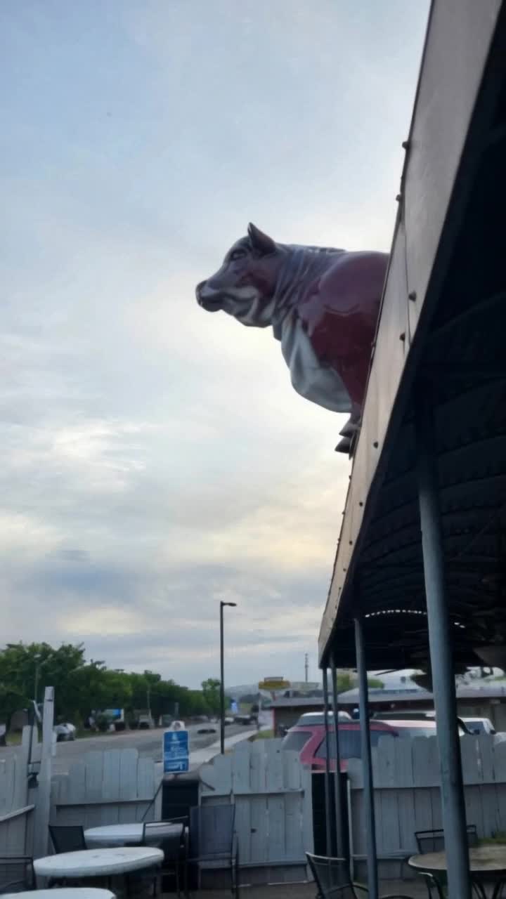 With this picture of cow on roof, do not pan view, instead hold thar frame and animate that cow jumping off that roof