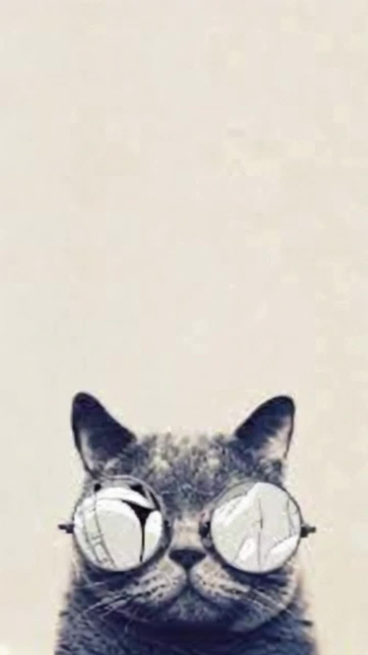 animate this cat