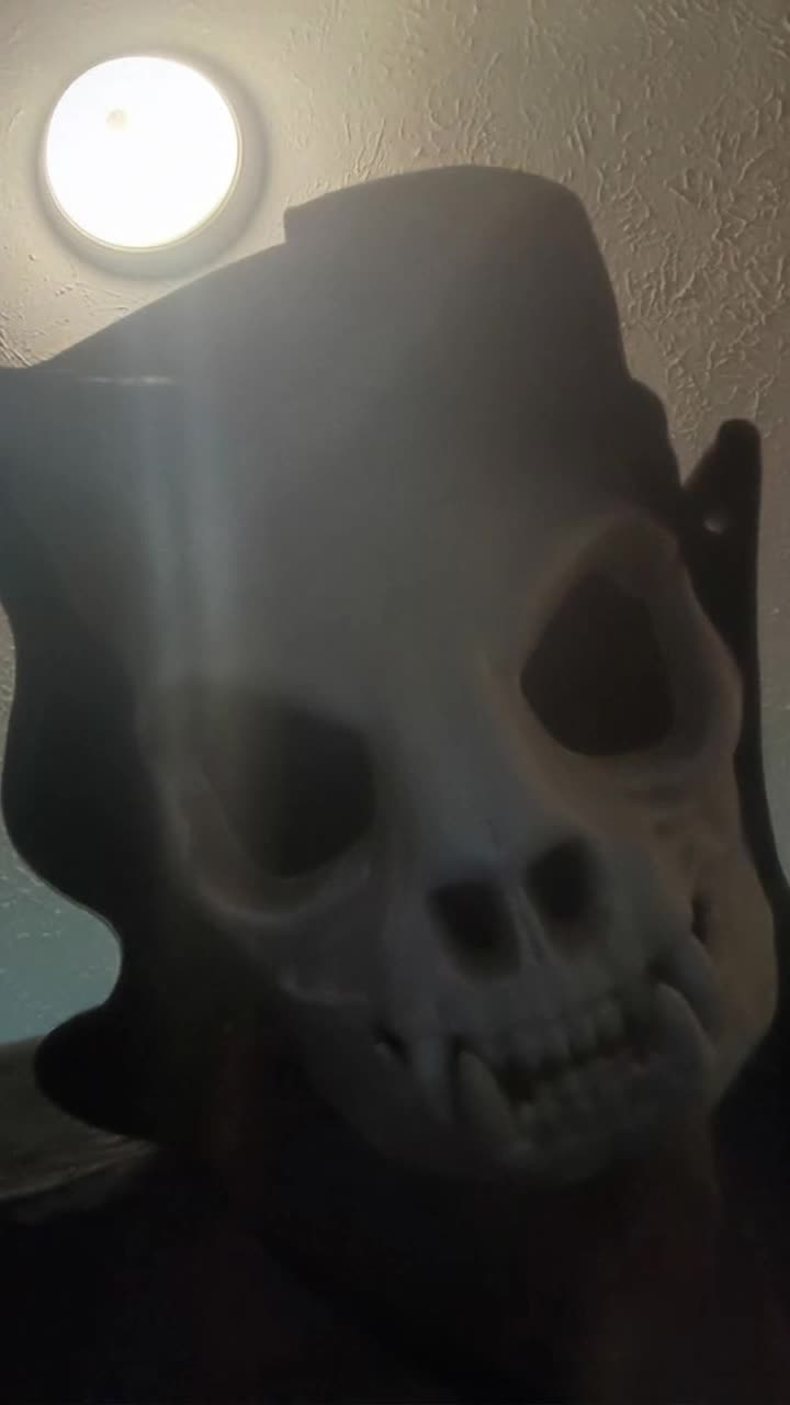 A talking skeleton masked necromancer 