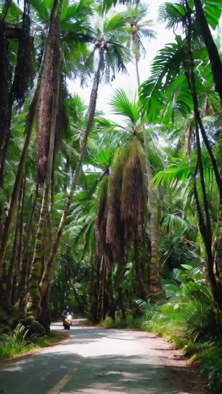 Motercycle riding alone in in the jungle trees are weed tree cycadelic colour of jungle big fat mushroom limitless endless road 