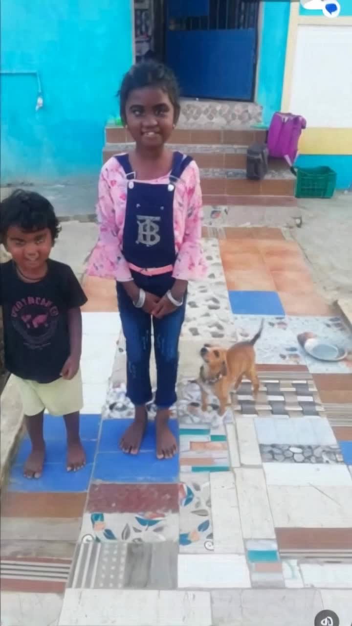 Both are fighting 