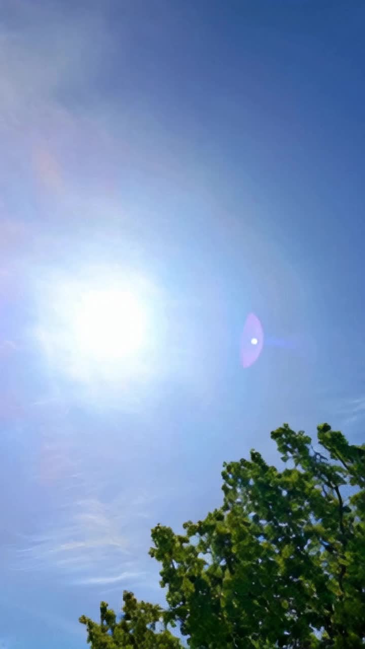 show the sun  over a garden of trees and show a sundial   The sky is beautiful and deep blue 