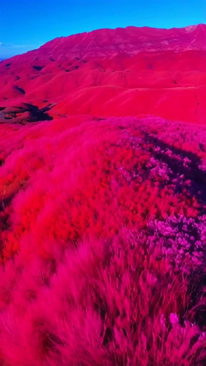 In this short video, the moment pulsates with exceptional, breathtaking beauty Captivating shots, vibrant colors, and details convey a profound sense of peace and wonder Ten seconds are enough to touch your heart and awaken an unforgettable, beautiful feeling 