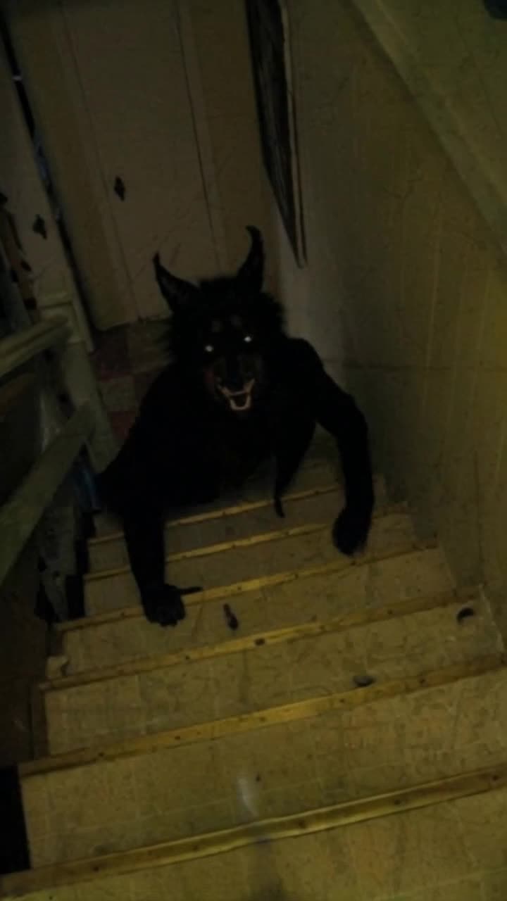 Imagine living inside a video game similar to Doom, a firstperson view of a futuristic laser rifle barrel is seen discharging energy bolts at a werewolf that is climbing up the stairs in a menacing manner