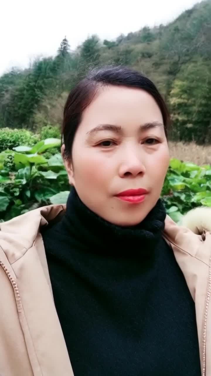              ,                                          ,                         ,           