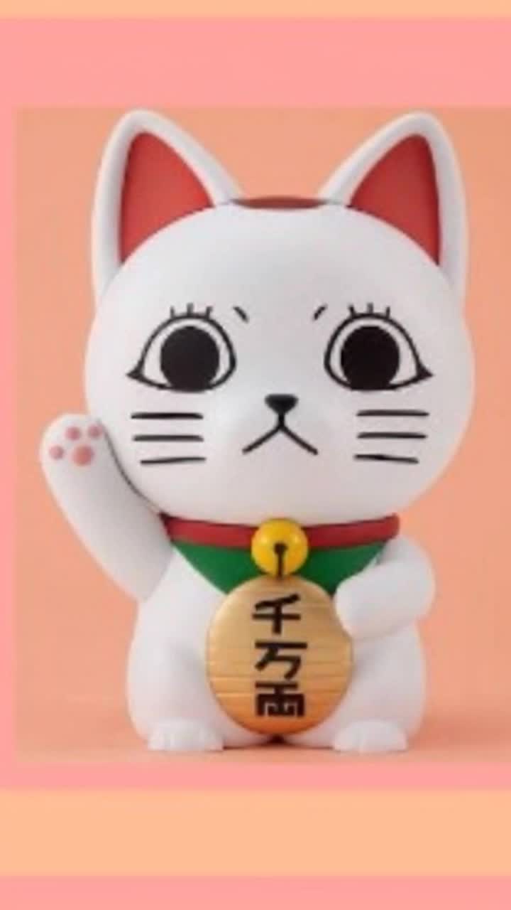 A different type of cat toy, I think she should laugh as turbo granny would laugh 