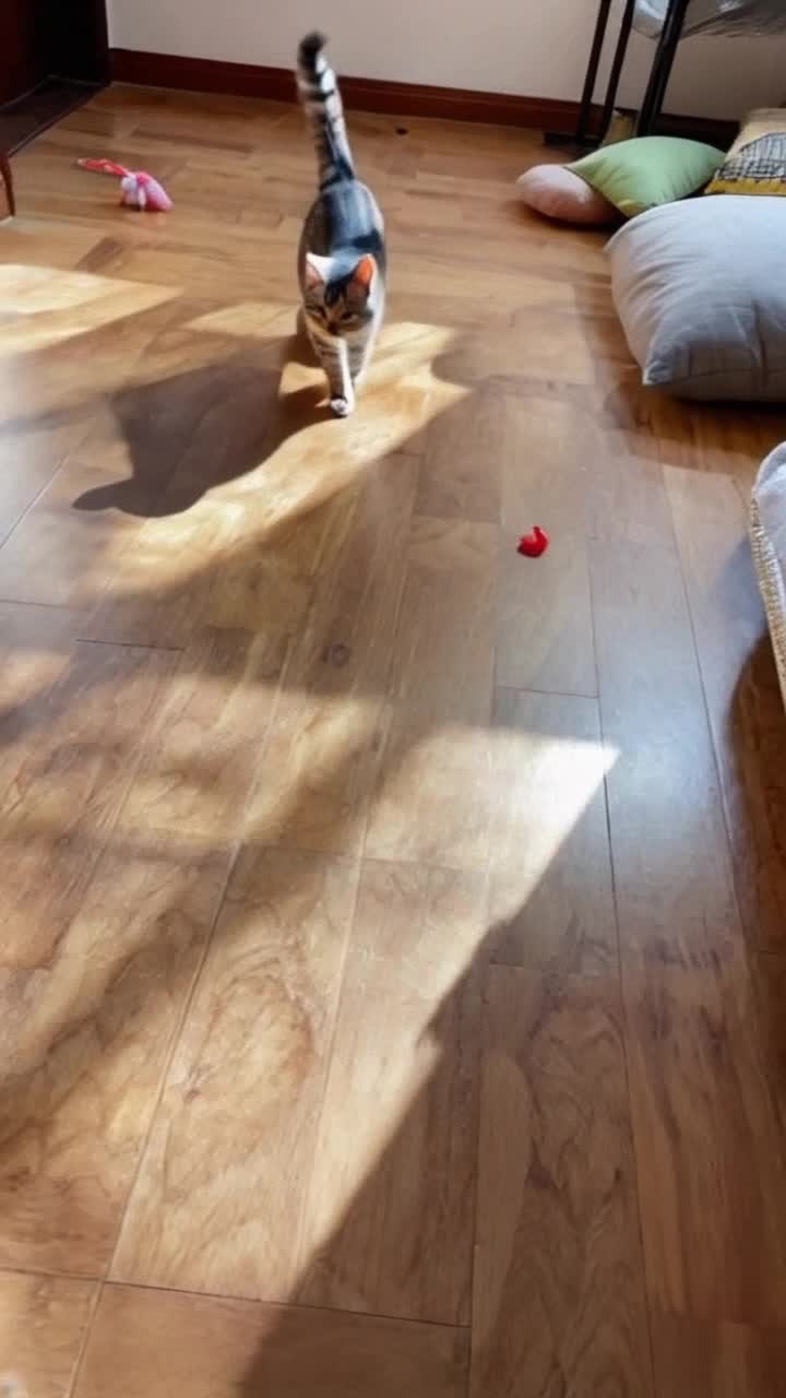Playful tabby cat with wide eyes and twitching whiskers dashes excitedly after a small elusive red dot zipping across textured wooden floor Vibrant sunbeams stream through a cozy living room window illuminating scattered toys and soft cushions as the cat leaps and tumbles in a whirlwind of fur and energy