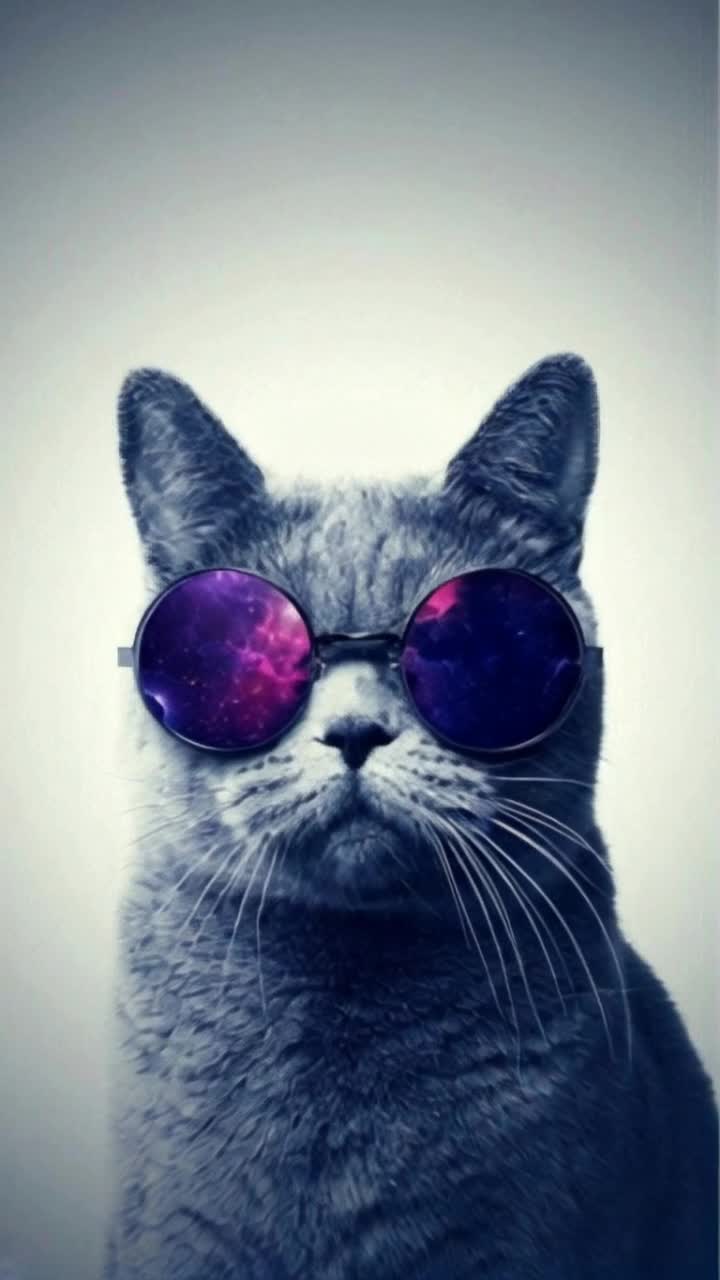 animate this cat