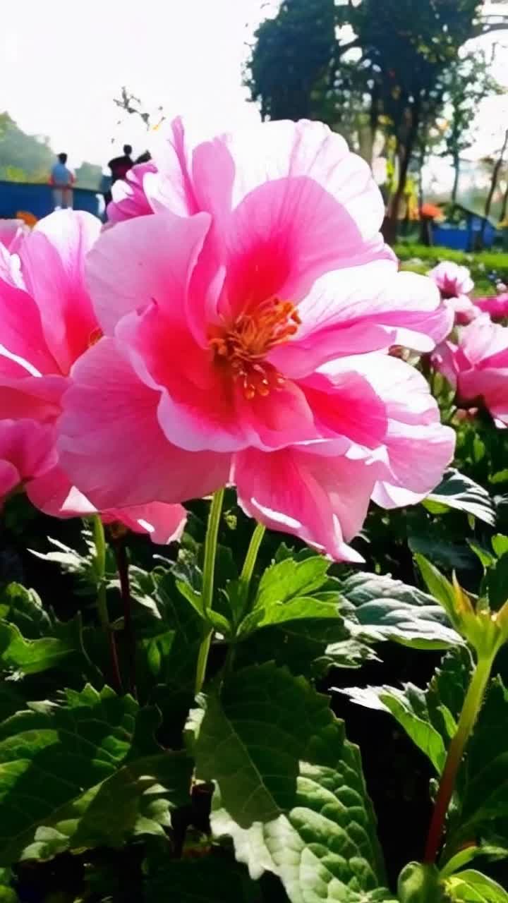 Colorful flowers blooming vibrantly in abundance delicate petals unfurling toward sunlight friendships blossoming among cheerful figures sharing laughter warmth of connection surrounding lush greenery bright sunlight streaming down nurturing atmosphere of renewal transforming neglected backyard into lively paradise whispers of hope lifting spirits high inviting exploration and joy