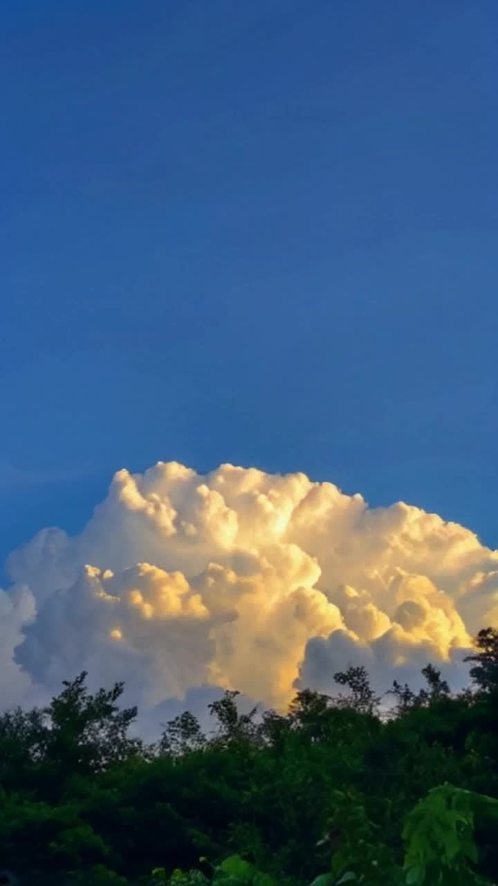 Faces formed in clouds dancing across a vibrant blue sky reveal hidden emotions Shapes morph and shift transforming into creatures that evoke curiosity Golden sunlight filters through branches creating a dreamlike atmosphere where imagination runs wild Gentle breezes stir leaves whispering secrets while shadows play tricks, distorting perceptions A soft soundtrack of nature enhances the enchanting scene, inviting viewers to find magic in everyday moments All around, the beauty of ordinary objects sparks wonder as details come to life, urging onlookers to seek patterns and connections in the world around them